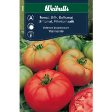 Bøftomat 'Marmande'